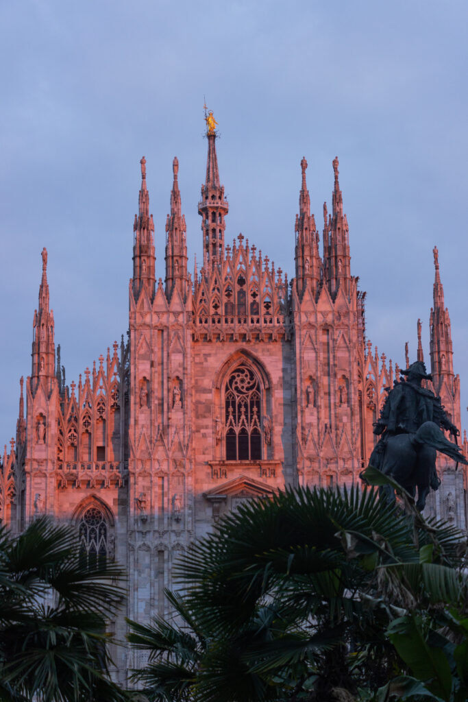 Concrete Jungle by Camille Massida Photography